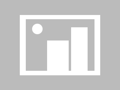 案例与解决方案，国际商贸实务中的关键案例与解决方案